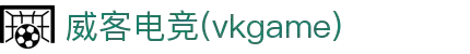 威客电竞(vkgame)-为竞技而生